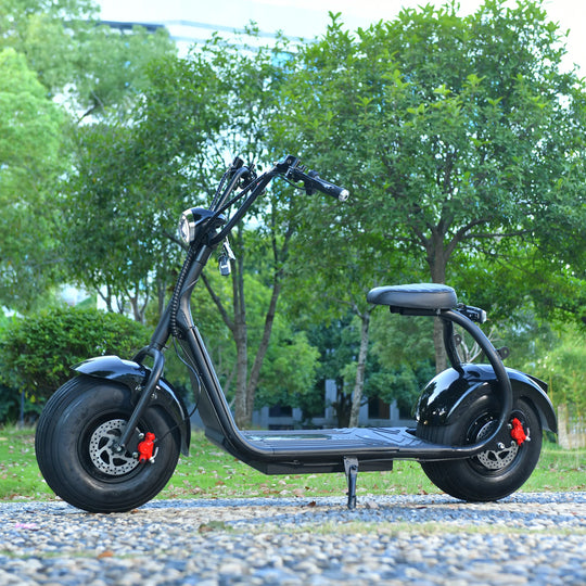 Citycoco Electric Scooter