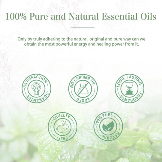 PHATOIL Spearmint Pure Essential Oil