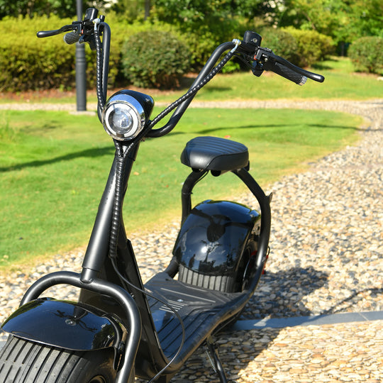 Citycoco Electric Scooter